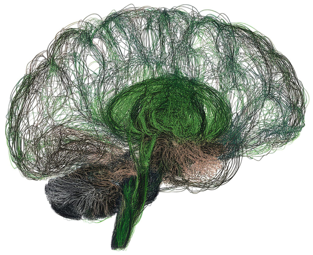 Psychologie Psyche Angststörungen Balingen Hypnose Ängste Depressionen Heilpraktiker Sontowski 